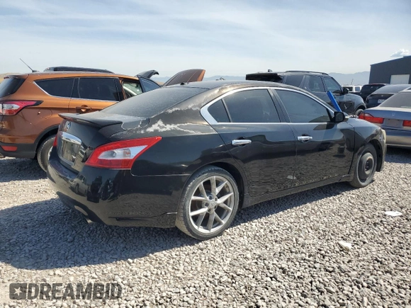2010 Nissan Maxima SV with VIN 1N4AA5AP7AC858212, listed as a Copart auction lot 58615705 with Not provided miles and Clean title. Bid and sale history available at DreamBid. Image 3.