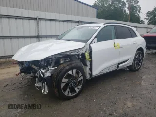 2022 Audi e-tron Premium with VIN WA1AAAGE2NB014917, listed as a Copart auction lot 50104223 with 25,123 mi miles. Bid and sale history available at carsss.com. Image 1.