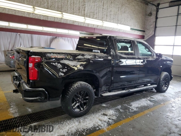2020 Chevrolet Silverado 1500 Custom Trail Boss with VIN 1GCPYCEFXLZ206321, listed as a Copart auction lot 41848515 with 122,117 mi miles and Salvage Title. Bid and sale history available at DreamBid. Image 3.
