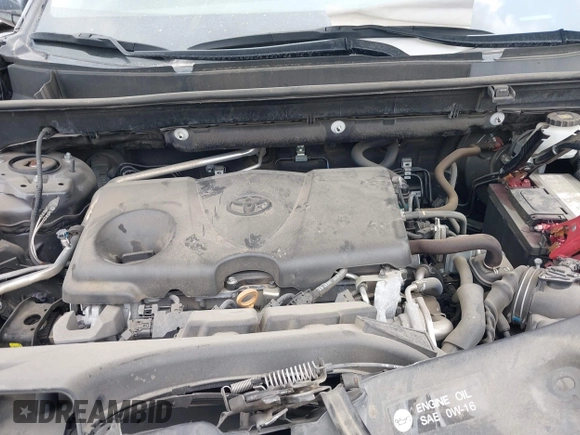 2019 Toyota RAV4 XLE with VIN 2T3W1RFV4KW009927, listed as a IAAI auction lot 41904194 with 46,863 mi miles and . Bid and sale history available at DreamBid. Image 10.