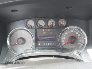 2009 Ford F-150 XL with VIN 1FTRF12W49KB41698, listed as a IAAI auction lot 41949081 with 161,561 mi miles and . Bid and sale history available at DreamBid. Image 7.