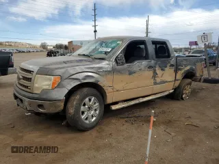 2013 Ford F-150 XL with VIN 1FTFW1EF3DFA22301, listed as a Copart auction lot 49437525 with Not Provided miles and Salvage Title. Bid and sale history available at DreamBid. Image 1.