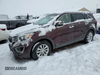 2017 Kia Sorento LX with VIN 5XYPGDA3XHG267789, listed as a Copart auction lot 41483165 with 95,091 mi miles and Salvage Title. Bid and sale history available at carsss.com. Image 1.