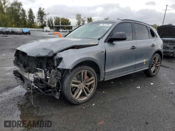 2017 Audi SQ5 Premium Plus with VIN WA1CCAFP2HA045617, listed as a Copart auction lot 77871754 with 109,057 mi miles and Salvage title. Bid and sale history available at DreamBid. Image 1.