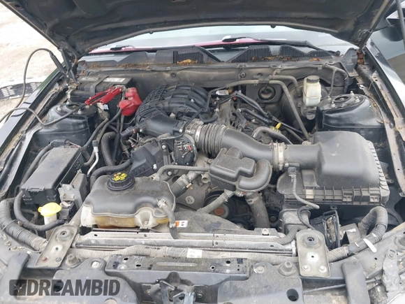 2014 Ford Mustang V6 with VIN 1ZVBP8AM3E5244110, listed as a IAAI auction lot 42383221 with 102,625 mi miles and . Bid and sale history available at DreamBid. Image 10.