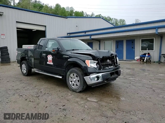 2014 Ford F-150 XL with VIN 1FTFX1EF5EFA61616, listed as a Copart auction lot 54660705 with Not provided miles and Salvage title. Bid and sale history available at DreamBid. Image 13.