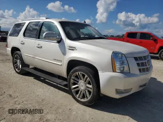 2013 Cadillac Escalade Premium with VIN 1GYS4CEF6DR248440, listed as a Copart auction lot 73847934 with 148,505 mi miles and Salvage Title. Bid and sale history available at carsss.com. Image 4.