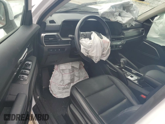 2024 Kia Telluride LX with VIN 5XYP24GCXRG425507, listed as a Copart auction lot 47872035 with Not provided miles and Salvage title. Bid and sale history available at DreamBid. Image 8.