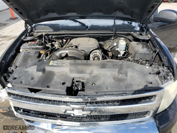 2009 Chevrolet Silverado 1500 LS with VIN 3GCEC13C29G250213, listed as a Copart auction lot 46454145 with 165,385 mi miles and Salvage Title. Bid and sale history available at carsss.com. Image 11.