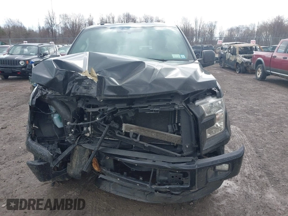 2016 Ford F-150 XLT with VIN 1FTFX1EF5GFC08651, listed as a IAAI auction lot 41898070 with 175,306 mi miles and . Bid and sale history available at carsss.com. Image 12.