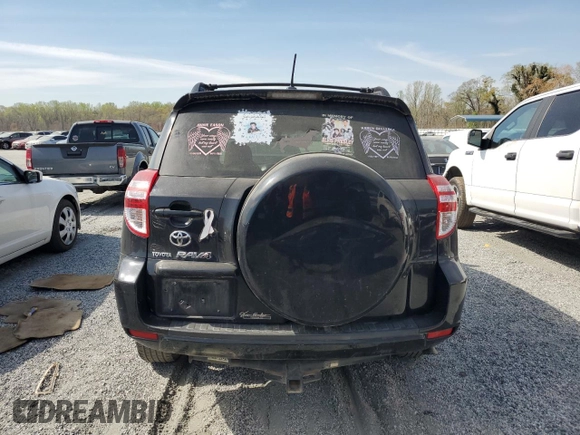 2009 Toyota RAV4 with VIN JTMZF33V69D013078, listed as a Copart auction lot 51003335 with 254,127 mi miles and Salvage Title. Bid and sale history available at carsss.com. Image 6.