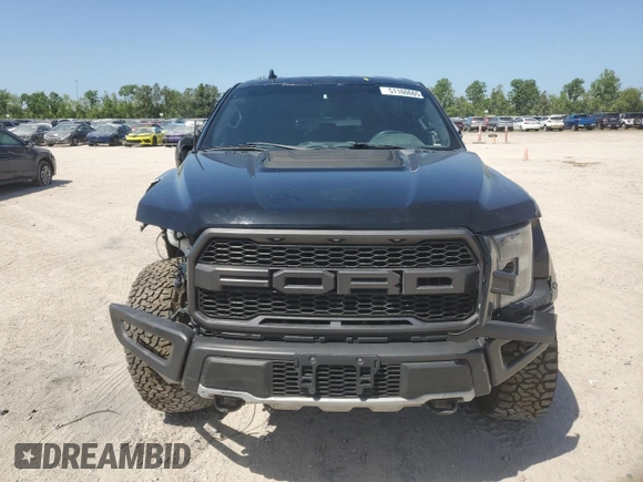 2019 Ford F-150 Raptor with VIN 1FTFW1RG0KFB43691, listed as a Copart auction lot 51160605 with 174,785 mi miles and Salvage Title. Bid and sale history available at carsss.com. Image 5.