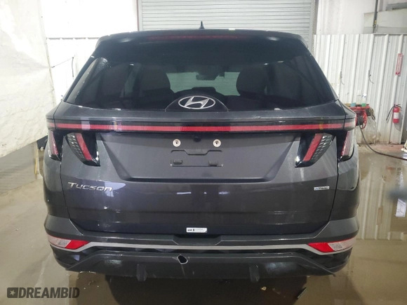 2023 Hyundai Tucson SEL with VIN 5NMJBCAE5PH216754, listed as a Copart auction lot 45222275 with 48,281 mi miles and Non Repairable. Bid and sale history available at carsss.com. Image 6.