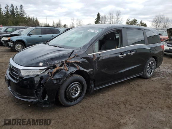 2024 Honda Odyssey EX-L with VIN 5FNRL6H69RB501705, listed as a Copart auction lot 53372625 with 29,603 mi miles and Clean Title. Bid and sale history available at DreamBid. Image 1.