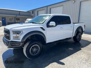 2019 Ford F-150 Raptor with VIN 1FTFW1RG6KFB68157, listed as a Copart auction lot 49493515 with 67,104 mi miles and Salvage Title. Bid and sale history available at carsss.com. Image 1.
