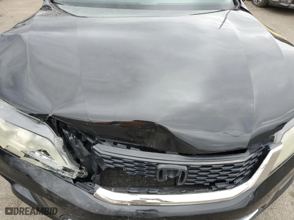 2013 Honda Accord Cpe EX-L with VIN 1HGCT2B82DA003938, listed as a Copart auction lot 49704885 with 212,979 mi miles and Salvage Title. Bid and sale history available at carsss.com. Image 13.