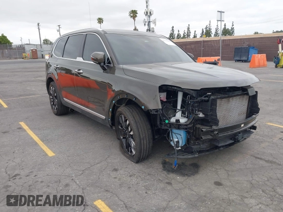 2024 Kia Telluride SX Prestige X-Line with VIN 5XYP5DGC2RG417456, listed as a IAAI auction lot 42110480 with 20,099 mi miles and . Bid and sale history available at DreamBid. Image 1.