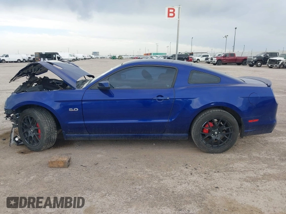 2013 Ford Mustang GT with VIN 1ZVBP8CF9D5236090, listed as a IAAI auction lot 41763178 with 106,027 mi miles and . Bid and sale history available at DreamBid. Image 13.