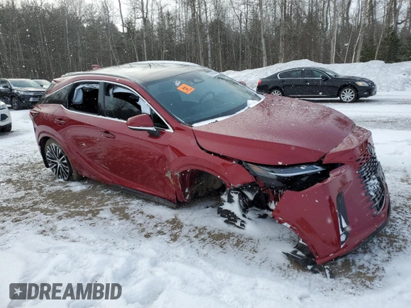 2023 Lexus RX 350 with VIN 2T2BAMCA1PC034705, listed as a Copart auction lot 51819405 with Not provided miles and Clean title. Bid and sale history available at DreamBid. Image 4.