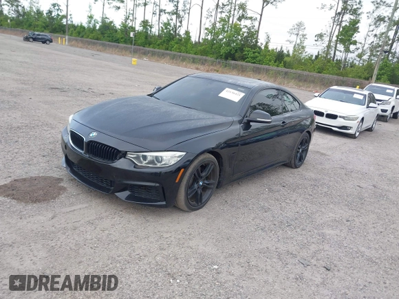 2015 BMW 4 Series 428i with VIN WBA3N3C55FK232319, listed as a IAAI auction lot 42136421 with 140,300 mi miles and . Bid and sale history available at DreamBid. Image 17.