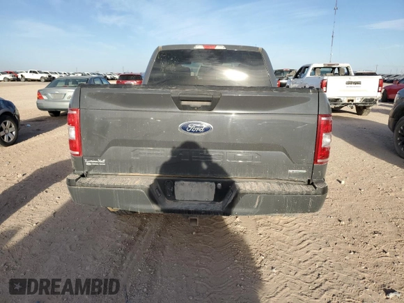 2018 Ford F-150 XL with VIN 1FTEX1CP9JFC00230, listed as a Copart auction lot 46915745 with Not provided miles and Salvage title. Bid and sale history available at DreamBid. Image 6.