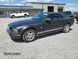 2007 Ford Mustang Deluxe z VIN 1ZVHT84N775320604, wystawiony jako Copart lot #55970295 z przebiegiem 164 642 mil mil oraz Szkoda całkowita • Salvage title. Historia ofert i sprzedaży dostępna na DreamBid. Obrazek 1.