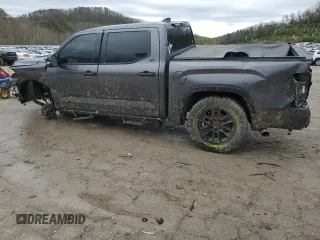 2023 Toyota Tundra SR5 with VIN 5TFLA5DB7PX064282, listed as a Copart auction lot 51097575 with Not provided miles and Salvage title. Bid and sale history available at DreamBid. Image 2.