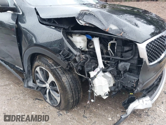 2017 Kia Sorento EX with VIN 5XYPHDA59HG231011, listed as a IAAI auction lot 41218507 with 149,190 mi miles and . Bid and sale history available at DreamBid. Image 6.