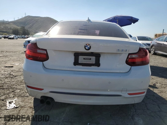 2016 BMW 2 Series 228i with VIN WBA1F5C57GV343714, listed as a Copart auction lot 46691475 with 113,226 mi miles and Salvage title. Bid and sale history available at DreamBid. Image 6.