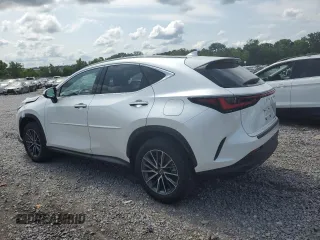 2022 Lexus NX with VIN JTJAKCEZ1N5000801, listed as a Copart auction lot 58025764 with 18,907 mi miles and Salvage Title. Bid and sale history available at carsss.com. Image 2.