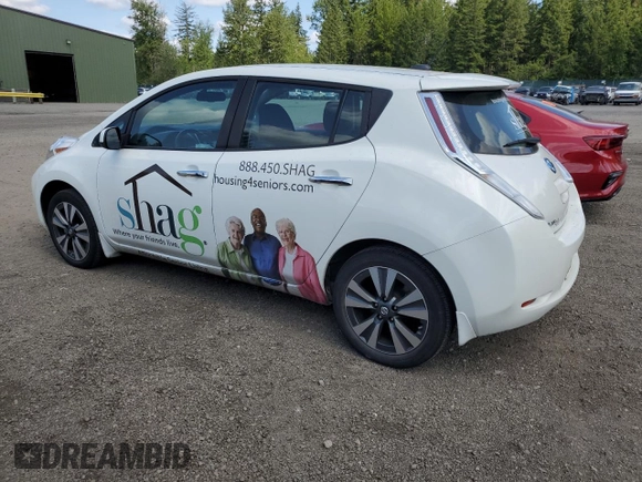 2016 Nissan LEAF S with VIN 1N4BZ0CP3GC307667, listed as a Copart auction lot 54147633 with 18,907 mi miles. Bid and sale history available at carsss.com. Image 2.