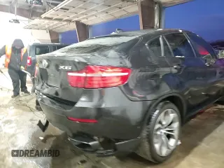 2013 BMW X6 xDrive50i with VIN 5UXFG8C52DL591320, listed as a Copart auction lot 85690334 with 0 mi miles and Salvage Title. Bid and sale history available at carsss.com. Image 14.