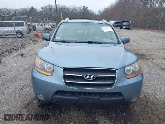 2009 Hyundai Santa Fe SE с VIN 5NMSH13E49H331045, выставлен на аукционе IAAI как лот 41846484 с пробегом 170 579 миль миль и . История ставок и продаж доступна на DreamBid. Изображение 11.
