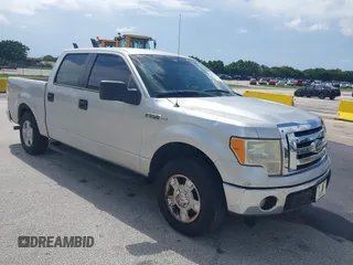 2013 Ford F-150 XL with VIN 1FTFW1CF5DFB73224, listed as a IAAI auction lot 42472737 with 219,032 mi miles and . Bid and sale history available at DreamBid. Image 1.