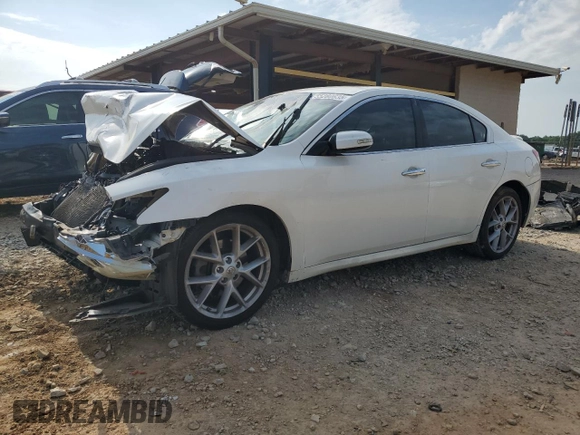 2009 Nissan Maxima SV z VIN 1N4AA51EX9C830995, wystawiony jako Copart lot #55280635 z przebiegiem Nie podano mil oraz Szkoda całkowita • Salvage title. Historia ofert i sprzedaży dostępna na DreamBid. Obrazek 1.