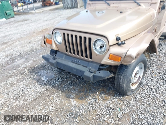 1999 Jeep Wrangler Sahara with VIN 1J4FY49S3XP407594, listed as a IAAI auction lot 42369363 with 253,780 mi miles and . Bid and sale history available at DreamBid. Image 6.
