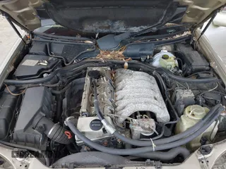 1998 Mercedes-Benz E 320 with VIN WDBJF25F5WA581878, listed as a IAAI auction lot 41662418 with 154,886 mi miles and . Bid and sale history available at DreamBid. Image 10.