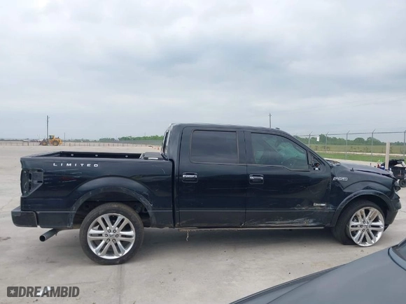 2013 Ford F-150 XL with VIN 1FTFW1CT3DFC19350, listed as a IAAI auction lot 42055182 with 256,166 mi miles. Bid and sale history available at carsss.com. Image 13.