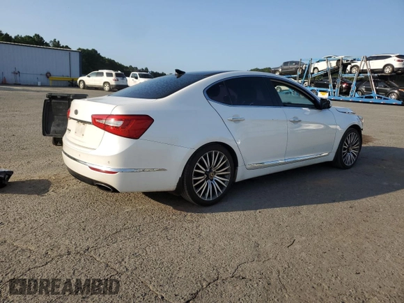 2014 Kia Cadenza Premium with VIN KNALN4D76E5139862, listed as a Copart auction lot 64353874 with 168,082 mi miles and Salvage Title. Bid and sale history available at carsss.com. Image 3.
