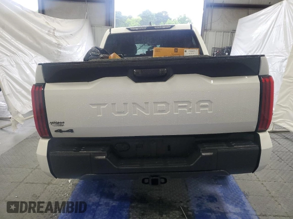 2025 Toyota Tundra SR with VIN 5TFKB5DB6SX281646, listed as a Copart auction lot 58299855 with Not provided miles and Salvage title. Bid and sale history available at DreamBid. Image 6.