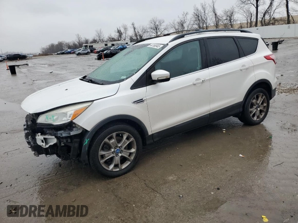 2013 Ford Escape SEL with VIN 1FMCU9HX9DUB17366, listed as a Copart auction lot 44166945 with 160,033 mi miles and Salvage Title. Bid and sale history available at carsss.com. Image 1.