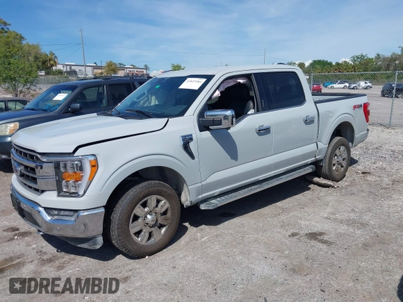 2023 Ford F-150 XL with VIN 1FTFW1E80PFB58830, listed as a IAAI auction lot 41823584 with 35,536 mi miles. Bid and sale history available at carsss.com. Image 2.