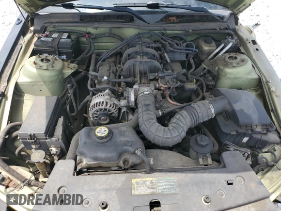 2006 Ford Mustang Standard with VIN 1ZVFT80N465176960, listed as a Copart auction lot 58125205 with Not provided miles and Salvage title. Bid and sale history available at DreamBid. Image 11.