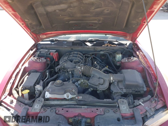 2014 Ford Mustang V6 with VIN 1ZVBP8AM3E5331909, listed as a IAAI auction lot 41843849 with 141,514 mi miles. Bid and sale history available at carsss.com. Image 10.