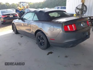 2010 Ford Mustang V6 with VIN 1ZVBP8ENXA5171928, listed as a IAAI auction lot 42556844 with 168,509 mi miles and . Bid and sale history available at DreamBid. Image 3.