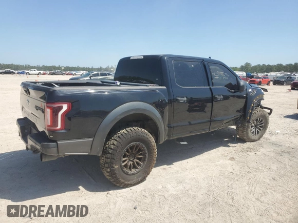 2019 Ford F-150 Raptor with VIN 1FTFW1RG0KFB43691, listed as a Copart auction lot 51160605 with 174,785 mi miles and Salvage Title. Bid and sale history available at carsss.com. Image 3.