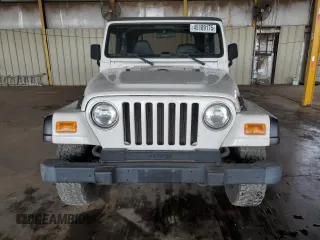 2002 Jeep Wrangler SE with VIN 1J4FA29P12P700276, listed as a Copart auction lot 45109175 with 115,139 mi miles and Salvage Title. Bid and sale history available at DreamBid. Image 5.