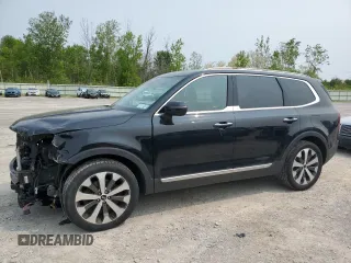 2021 Kia Telluride S with VIN 5XYP6DHC4MG124579, listed as a Copart auction lot 58498235 with 102,915 mi miles and Salvage title. Bid and sale history available at DreamBid. Image 1.