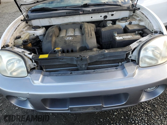2002 Hyundai Santa Fe GLS with VIN KM8SC73D82U255770, listed as a Copart auction lot 78057954 with 142,822 mi miles and Salvage Title. Bid and sale history available at carsss.com. Image 12.