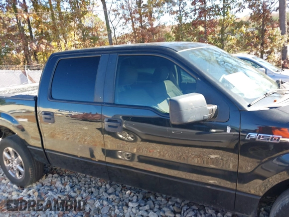2010 Ford F-150 XL with VIN 1FTEW1CW4AFA86552, listed as a IAAI auction lot 40874001 with 254,545 mi miles. Bid and sale history available at carsss.com. Image 13.